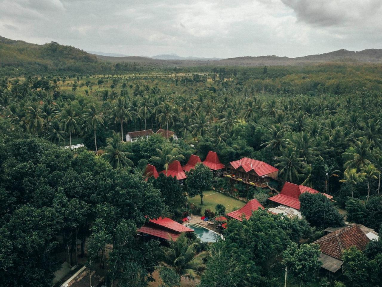 Отель Mojosurf Camp Red Island Pasanggaran Экстерьер фото